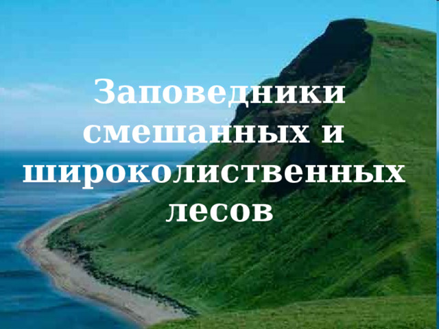 Заповедники смешанных и широколиственных лесов 