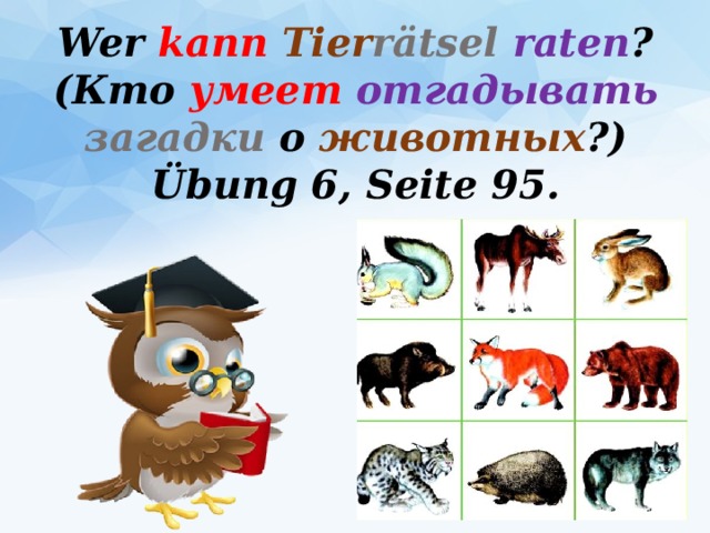 Wer kann  Tier rätsel raten ? (Кто умеет  отгадывать  загадки о животных ?) Übung 6, Seite 95. 