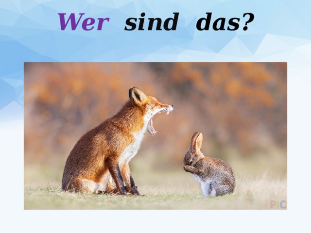 Wer sind das?   