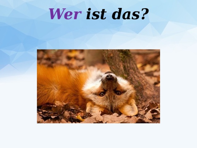 Wer ist das?   