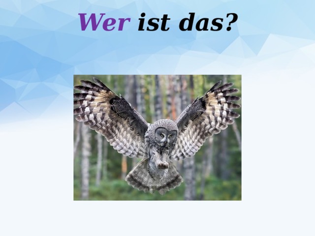 Wer ist das?   