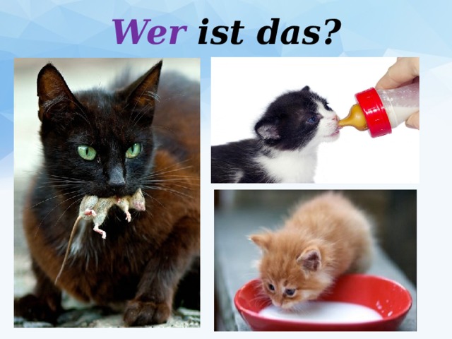 Wer ist das?   