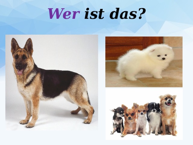 Wer ist das?   
