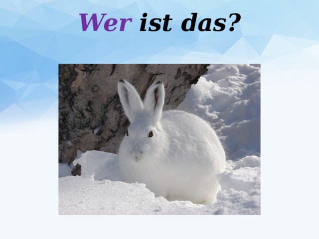 Wer ist das?   