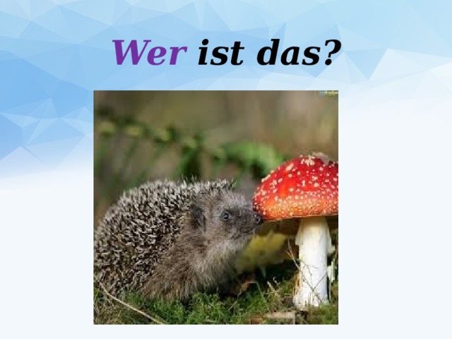 Wer ist das? 