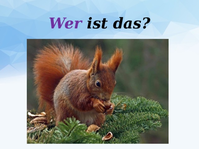 Wer ist das? 