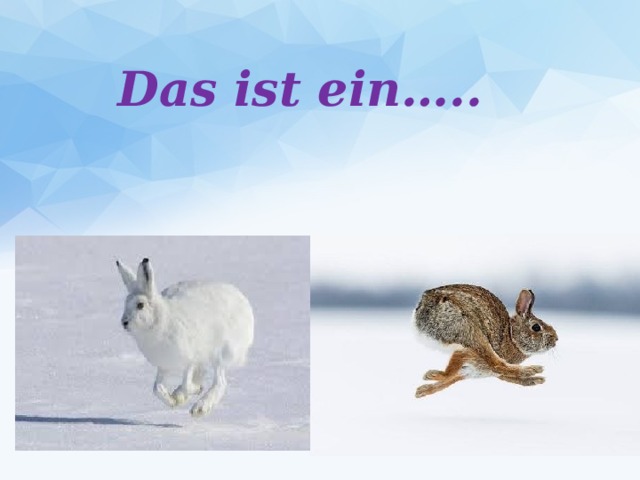 Das ist ein….. 