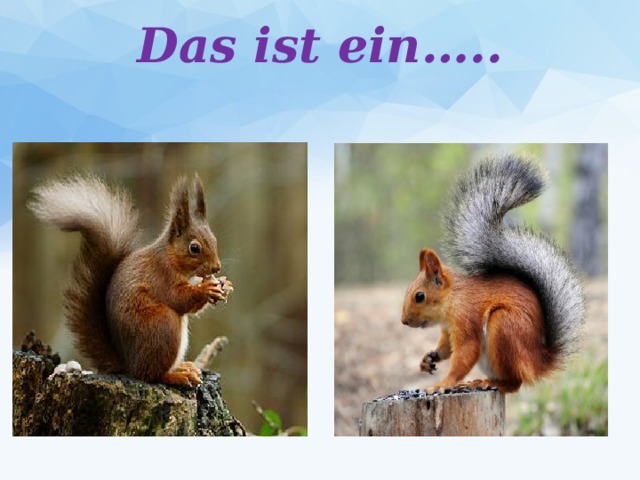 Das ist ein…..   