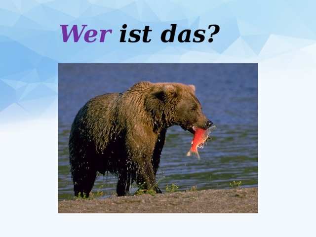 Wer ist das? 
