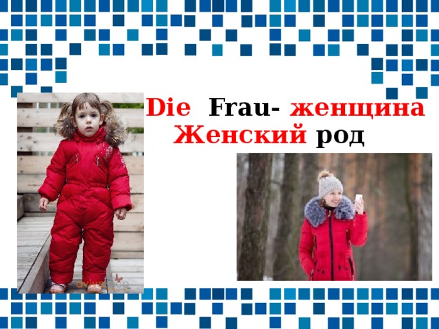 Die Frau- женщина Женский род 