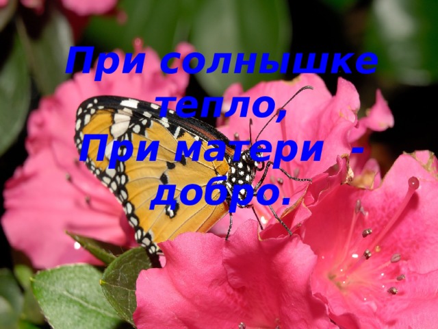 При солнышке тепло, При матери - добро. 