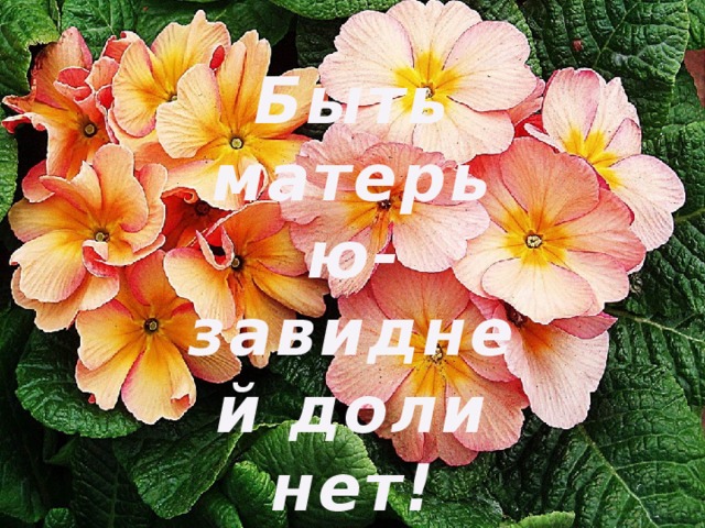 Быть матерью- завидней доли нет! 