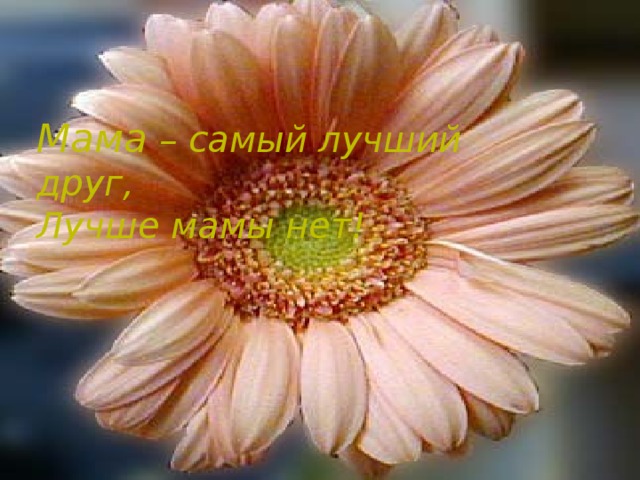 Мама – самый лучший друг, Лучше мамы нет! 