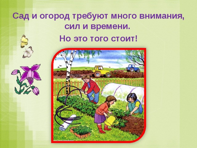 Сад и огород требуют много внимания, сил и времени. Но это того стоит! 