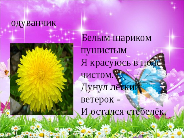  Белым шариком пушистым  Я красуюсь в поле чистом.  Дунул лёгкий ветерок -  И остался стебелёк. одуванчик 