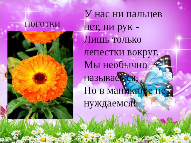  У нас ни пальцев нет, ни рук -   Лишь только лепестки вокруг.   Мы необычно называемся,   Но в маникюре не нуждаемся!   ноготки 