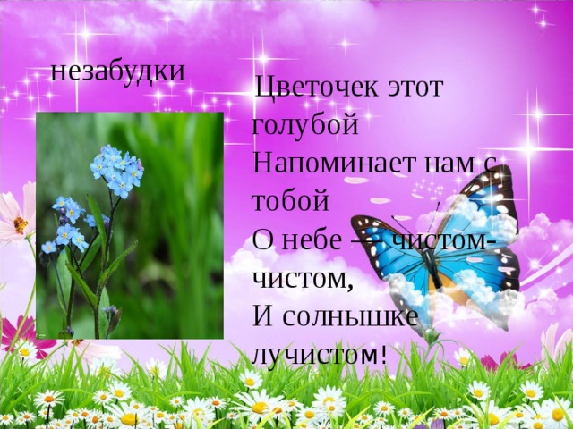  Цветочек этот голубой   Напоминает нам с тобой   О небе — чистом-чистом,   И солнышке лучисто м!   незабудки 