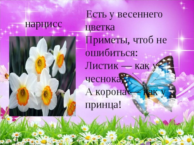  Есть у весеннего цветка   Приметы, чтоб не ошибиться:   Листик — как у чеснока,   А корона — как у принца!   нарцисс 