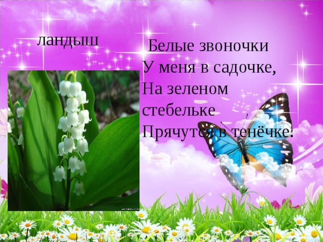  Белые звоночки   У меня в садочке,   На зеленом стебельке   Прячутся в тенёчке.   ландыш 