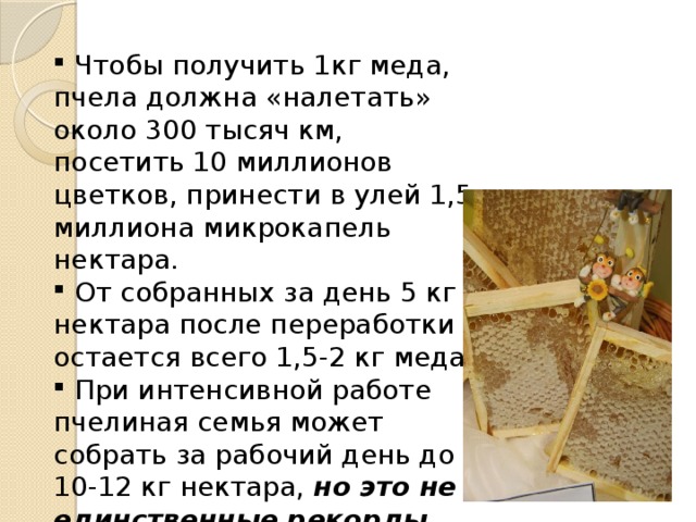  Чтобы получить 1кг меда, пчела должна «налетать» около 300 тысяч км, посетить 10 миллионов цветков, принести в улей 1,5 миллиона микрокапель нектара.  От собранных за день 5 кг нектара после переработки остается всего 1,5-2 кг меда.  При интенсивной работе пчелиная семья может собрать за рабочий день до 10-12 кг нектара, но это не единственные рекорды пчел . 