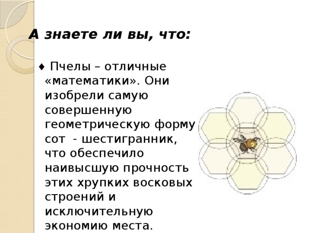 А знаете ли вы, что:   Пчелы – отличные «математики». Они изобрели самую совершенную геометрическую форму сот - шестигранник, что обеспечило наивысшую прочность этих хрупких восковых строений и исключительную экономию места.  Пчелы – отличные «математики». Они изобрели самую совершенную геометрическую форму сот - шестигранник, что обеспечило наивысшую прочность этих хрупких восковых строений и исключительную экономию места. 