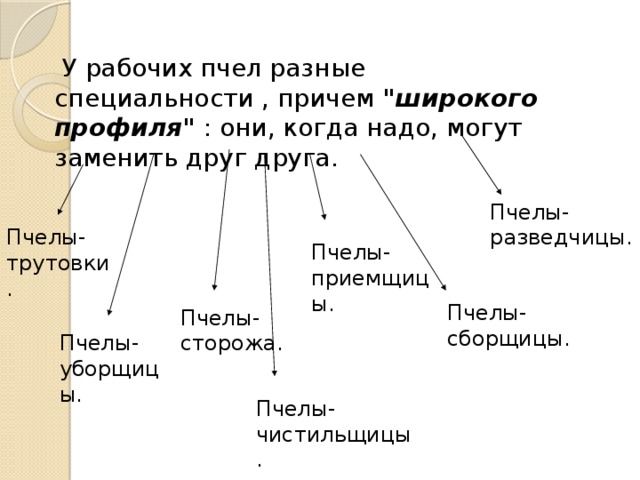  У рабочих пчел разные специальности , причем 