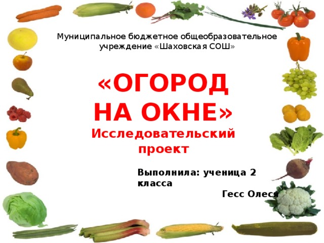 Муниципальное бюджетное общеобразовательное учреждение «Шаховская СОШ» «ОГОРОД НА ОКНЕ» Исследовательский проект  Выполнила: ученица 2 класса  Гесс Олеся  