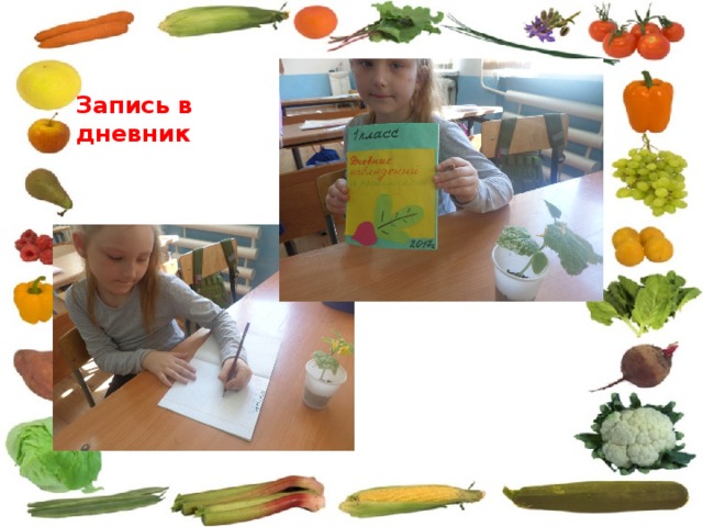 Запись в дневник 