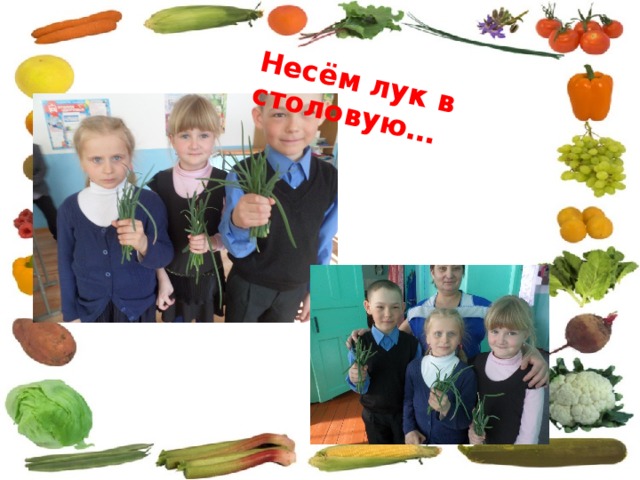 Несём лук в столовую… 