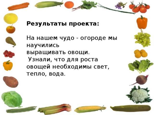 Результаты проекта: На нашем чудо - огороде мы научились выращивать овощи.  Узнали, что для роста овощей необходимы свет, тепло, вода. 
