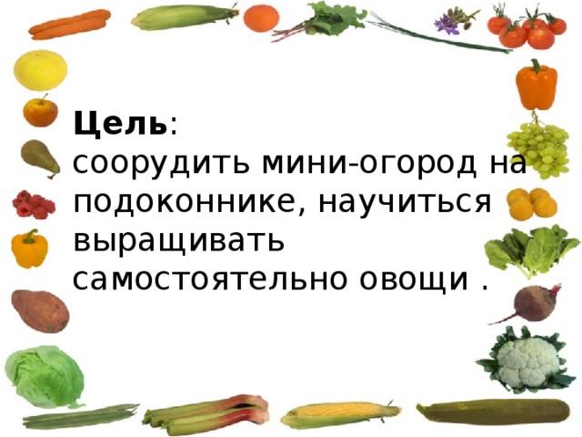 Цель : соорудить мини-огород на подоконнике, научиться выращивать самостоятельно овощи . 