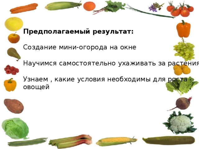 Предполагаемый результат: Создание мини-огорода на окне Научимся самостоятельно ухаживать за растениями Узнаем , какие условия необходимы для роста овощей 