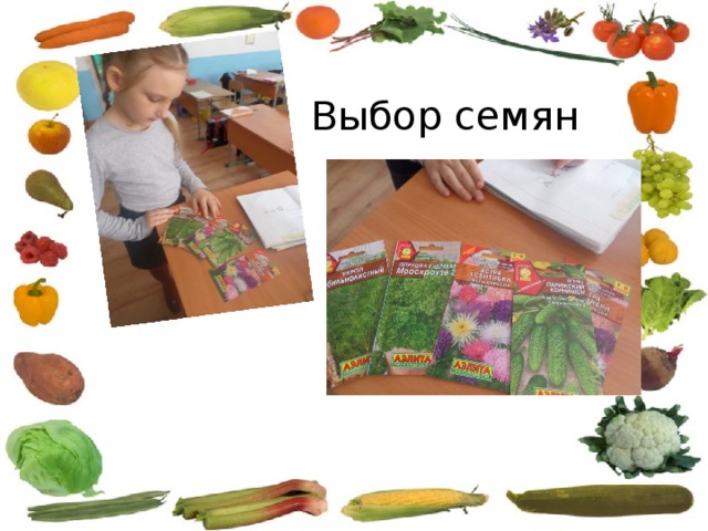 Выбор семян 