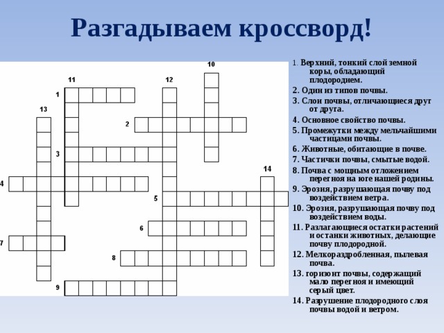 Разгадываем кроссворд! 1. Верхний, тонкий слой земной коры, обладающий плодородием. 2. Один из типов почвы. 3. Слои почвы, отличающиеся друг от друга. 4. Основное свойство почвы. 5. Промежутки между мельчайшими частицами почвы. 6. Животные, обитающие в почве. 7. Частички почвы, смытые водой. 8. Почва с мощным отложением перегноя на юге нашей родины. 9. Эрозия, разрушающая почву под воздействием ветра. 10. Эрозия, разрушающая почву под воздействием воды. 11. Разлагающиеся остатки растений и останки животных, делающие почву плодородной. 12. Мелкораздробленная, пылевая почва. 13. горизонт почвы, содержащий мало перегноя и имеющий серый цвет. 14. Разрушение плодородного слоя почвы водой и ветром.  