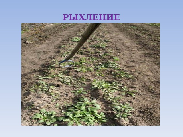РЫХЛЕНИЕ 