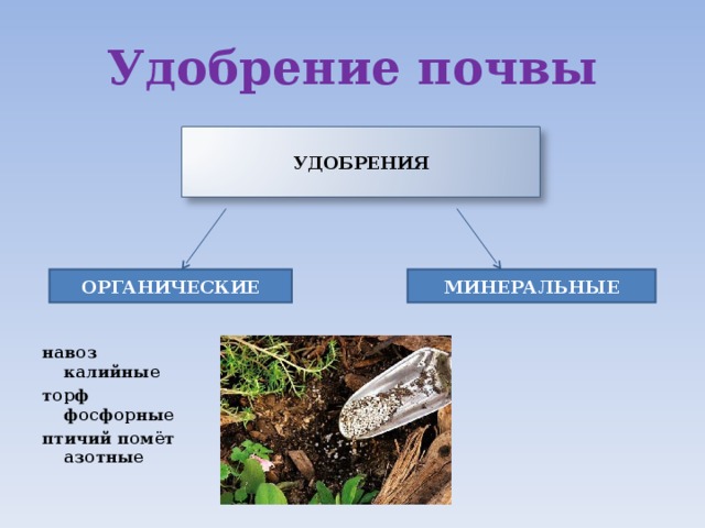 Удобрение почвы      навоз калийные торф фосфорные птичий помёт азотные УДОБРЕНИЯ ОРГАНИЧЕСКИЕ МИНЕРАЛЬНЫЕ 