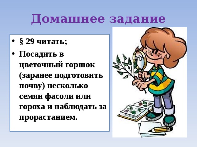 Домашнее задание § 29 читать; Посадить в цветочный горшок (заранее подготовить почву) несколько семян фасоли или гороха и наблюдать за прорастанием. 