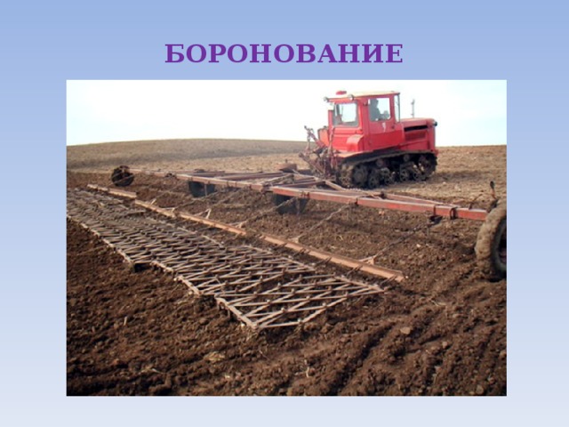 БОРОНОВАНИЕ 