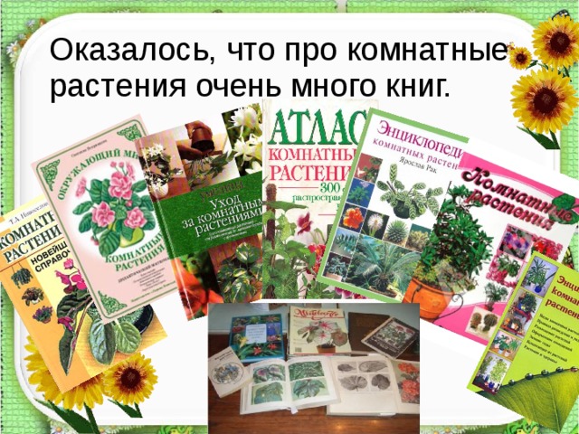 Оказалось, что про комнатные растения очень много книг.