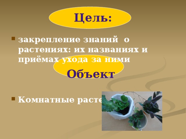 Цель: закрепление знаний о растениях: их названиях и приёмах ухода за ними Объект