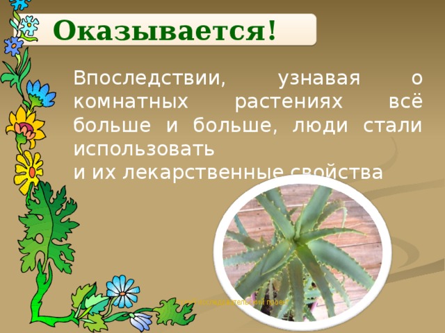 Оказывается! Впоследствии, узнавая о комнатных растениях всё больше и больше, люди стали использовать и их лекарственные свойства Детский исследовательский проект
