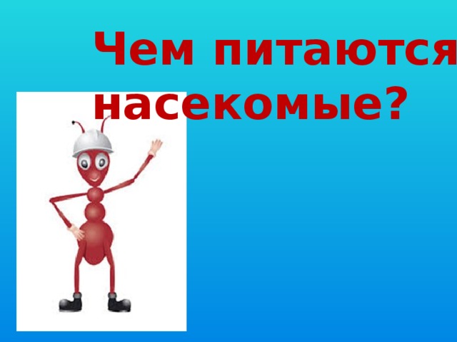 Чем питаются насекомые? 