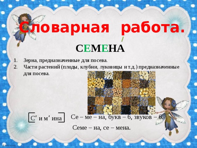 Словарная работа. С Е М Е НА Зерна, предназначенные для посева. Части растений (плоды, клубни, луковицы и т.д.) предназначенные для посева. Се – ме – на, букв – 6, звуков – 6. С ’ и м ’ ина Семе – на, се – мена. 