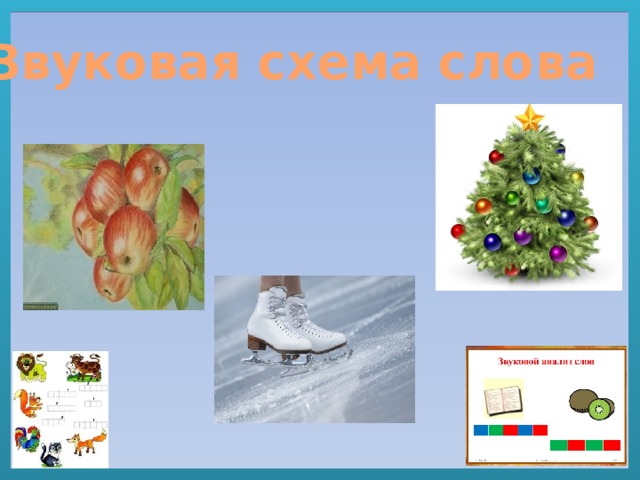 Звуковая схема слова 