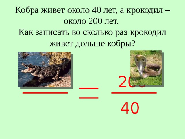 Кобра живет около 40 лет, а крокодил – около 200 лет.  Как записать во сколько раз крокодил живет дольше кобры? 200 40 