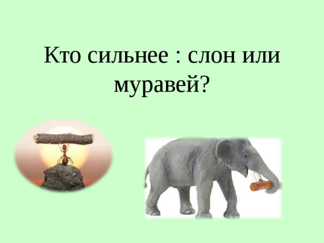  Кто сильнее : слон или муравей? 