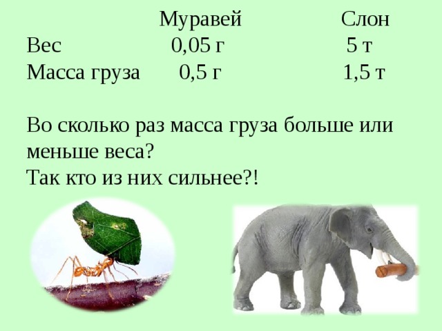        Муравей Слон  Вес 0,05 г 5 т  Масса груза 0,5 г 1,5 т   Во сколько раз масса груза больше или меньше веса?  Так кто из них сильнее?! 