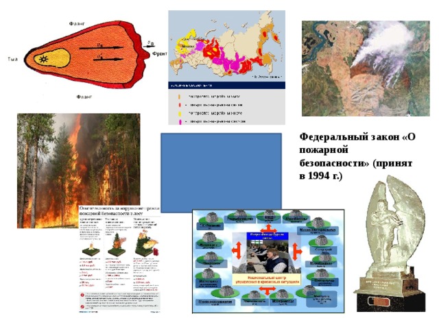 Федеральный закон «О пожарной безопасности» (принят в 1994 г.) 