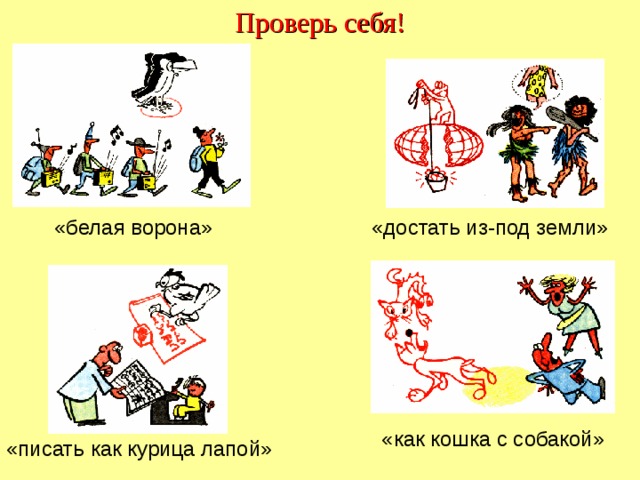 Проверь себя! «белая ворона» «достать из-под земли» «как кошка с собакой» «писать как курица лапой»  