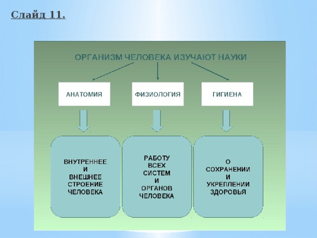 Слайд 11.  